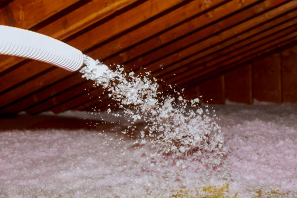 Best Home Insulation Services  in Auburn, WA