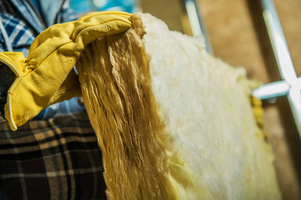Best Insulation Removal  in Auburn, WA