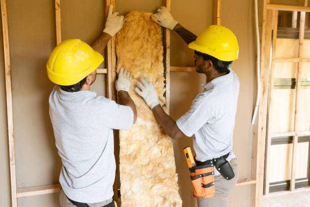 Best Wall Insulation Contractor  in Auburn, WA