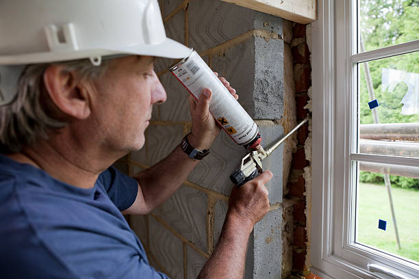 Best Local Insulation Services  in Auburn, WA