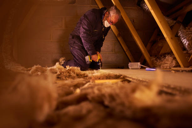 Trusted Auburn, WA Insulation Contractor Experts